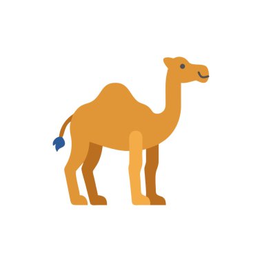 deve hayvanı izole edilmiş simge