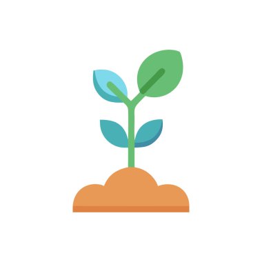 Beyaz arka plan üzerinde düz simgesi