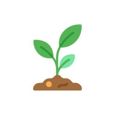 bitki vektörü düz renk simgesi