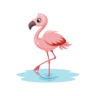 Pembe flamingo kuş çizgi film