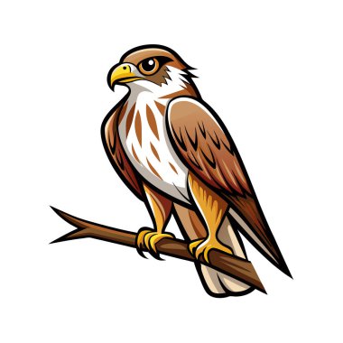 Şirin bir kartal çizgi filminin vektör çizimi