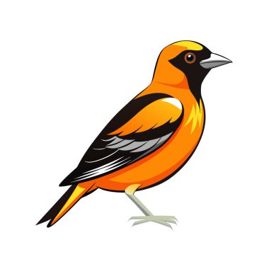 Çizgi film kuşunun vektör çizimi. beyaz arkaplanda izole.