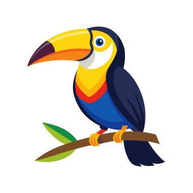 Toucan vektör illüstrasyon tasarımlı Toucan kuşu
