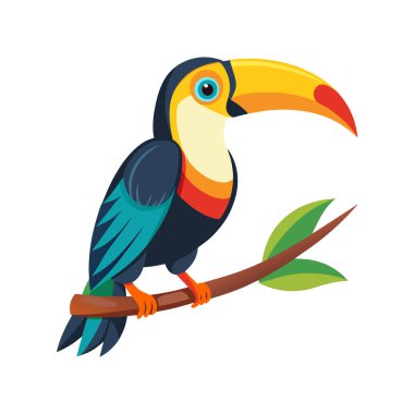 Toucan kuş çizgi film vektör çizim