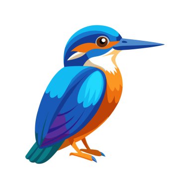 Şirin kuş çizgi film vektör çizimi grafik tasarımı izole edildi.