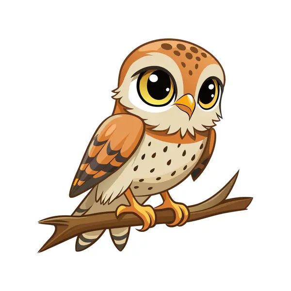 Çizgi film baykuş dalı