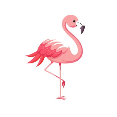 Beyaz arkaplanda flamingo vektör illüstrasyonu