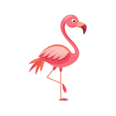 izole edilmiş pembe flamingo karikatür vektör çizimi