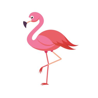 izole edilmiş pembe flamingo vektör çizimi