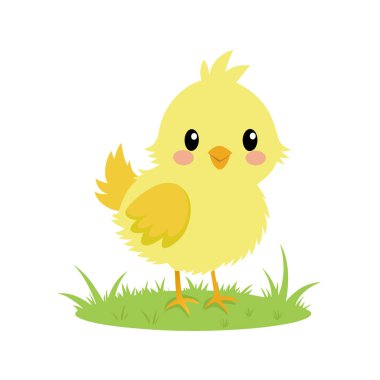 Çimlerin üzerinde çizgi film tavuğu. Şirin kuş. vektör illüstrasyonu