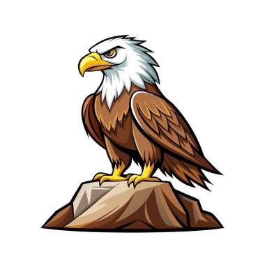 beyaz arkaplan resimlemesindeki kartal kuşu