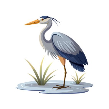 Uzun gölgeli mavi balıkçıl