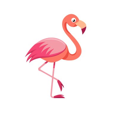 flamingo kuş vektör çizimi