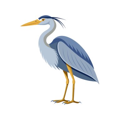 mavi balıkçıl çizgi film vektör illüstrasyon grafik tasarımı.