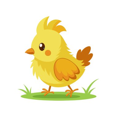 Sevimli küçük tavuk çizgi filmi