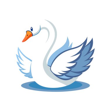 Su çiziminde beyaz kuğu