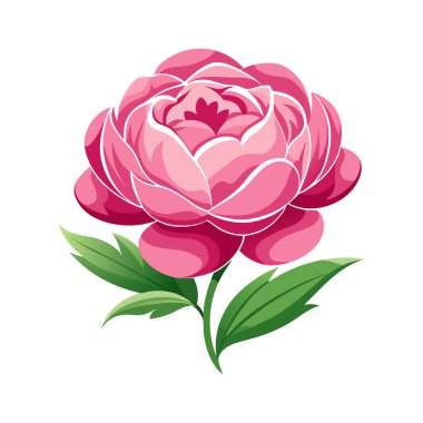 pembe çiçek ve gül