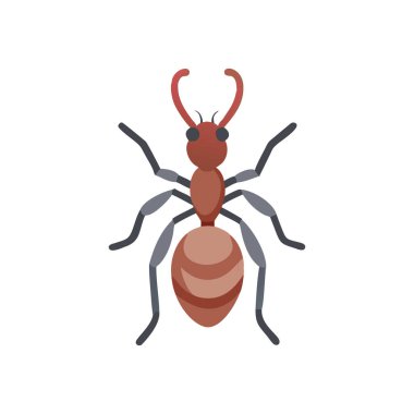 Böceğin düz simge tasarımı