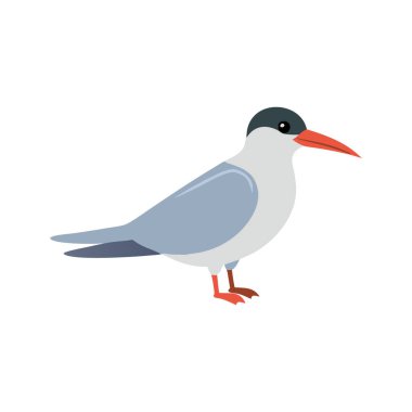 Beyaz arka plan üzerinde izole düz stil simgesi martı. Kuş simge vektör çizim