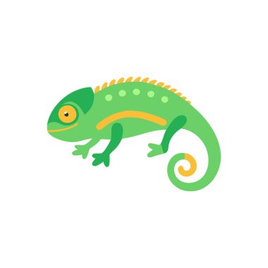 Şirin bukalemun hayvan çizgi film vektör çizimi grafik tasarımı