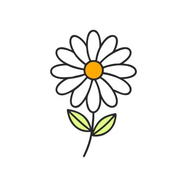 Papatya çiçeğinin vektör illüstrasyonu