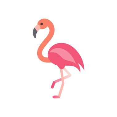 flamingo kuş vektör çizimi tasarımı
