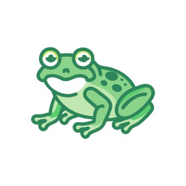 Kurbağa. Kurbağanın vektör illüstrasyonu