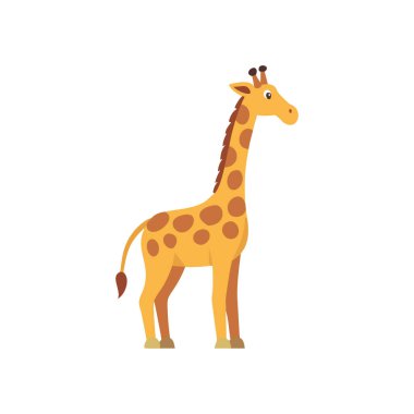 zürafa hayvan izole edilmiş ikon vektör illüstrasyon tasarımı