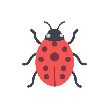 Uğur böceği ikonu. Beyaz arkaplanda izole edilmiş illüstrasyon