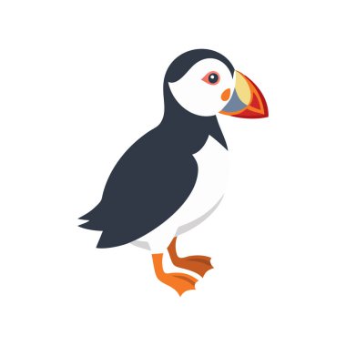 çizgi film sevimli tukan kuşu..