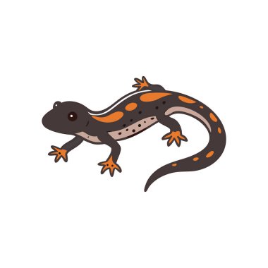 Şirin küçük kurbağa. beyaz arkaplanda izole edilmiş karikatür hayvan çizimi.