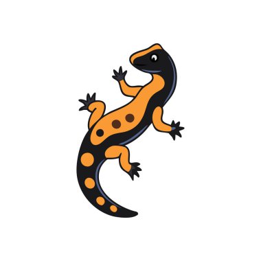 şirin küçük kurbağa vektör çizimi