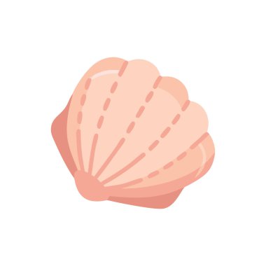 Beyaz arka planda taze deniz kabuğu