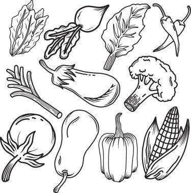 El yapımı sebze seti. Yemek taslakları koleksiyonu. Vektör illüstrasyonu