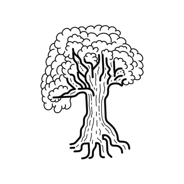 El çizimi Ağaç Çizimi, Basit Ağaç Çizimi, Minimalist Ağaç Simgesi