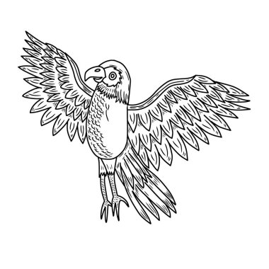 Yükselen kartal ana hatlı vektör çizimi. Açık kanatlı el çizimi kartal