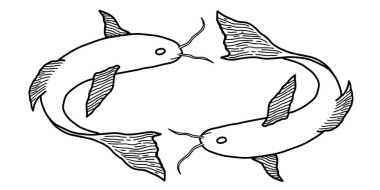 El çizimi iki uyumlu Koi balığı vektör çizimi