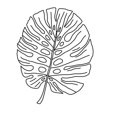 Canavar yaprağı çizimi vektör çizimi. Tropikal orman canavarları beyaz arka planda izole edilmiş.