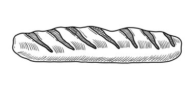 Elle çizilmiş bir somun ekmek vektör çizimi. Ekmek el çizimi çizim biçimi