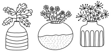 Botanik vazolar sanat seti. Çizim biçiminde vektör el çizimi