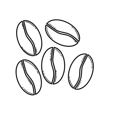 Kahve çekirdekleri el yapımı ikon. Doodle stili organik kahve çekirdekleri çizimi