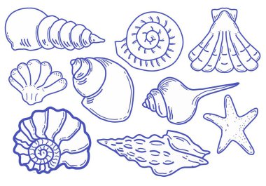 El yapımı deniz kabukları mürekkep çiziyor. Çizgi sanatı deniz kabuğu koleksiyonu
