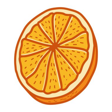 Turuncu dilim vektör çizimi. El yapımı turunçgil dilimi. Tek portakallı meyve segmenti beyaz arkaplan