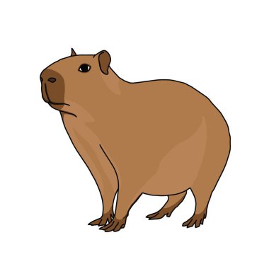 El çizimi komik Capybara çizgi filmi. Çocuklar çizer. Vektör el çizimi resimleme