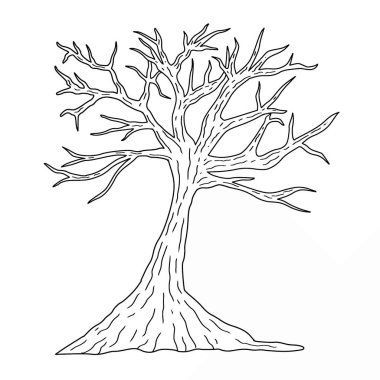 El çizimi çıplak ağaç çizgisi sanat vektörü. Minimalist yapraksız ağaç illüstrasyonu
