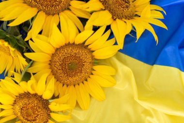 Flag of Ukraine and sunflowers