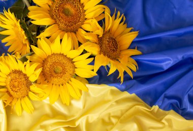 Flag of Ukraine and sunflowers