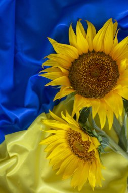 Flag of Ukraine and sunflowers