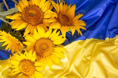 Flag of Ukraine and sunflowers