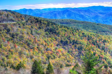 Blue Ridge Dağı Parkway Kuzey Carolina 'da Sonbahar